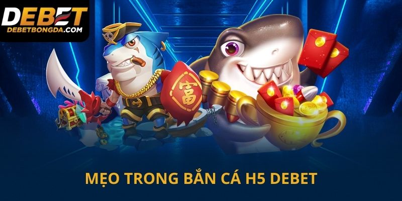 Áp dụng mẹo săn cá khủng dễ dàng