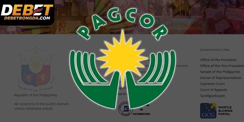 Giấy phép hoạt động nhà cái Debet